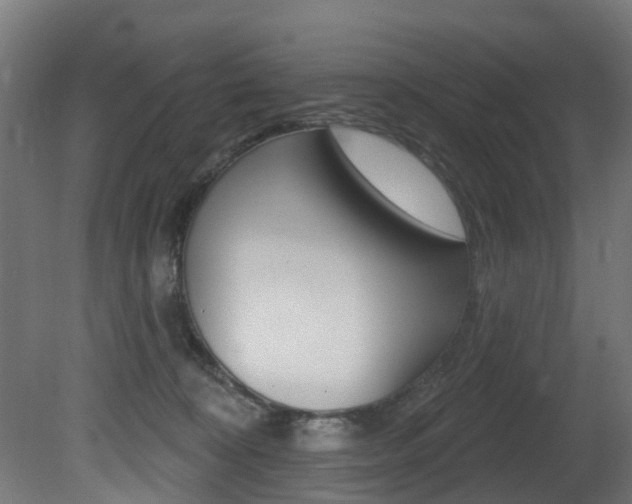 X0000081420324200701120951
