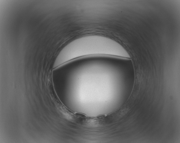 X0000081420325200701120951