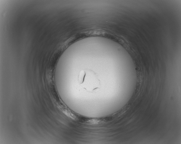 X0000081420326200701120951