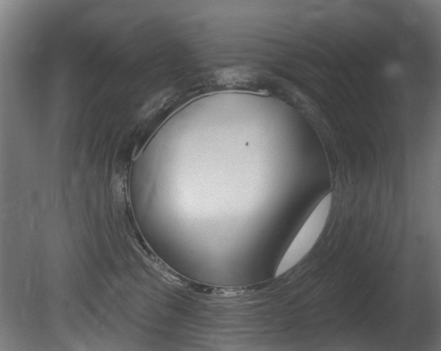 X0000081420329200701120951