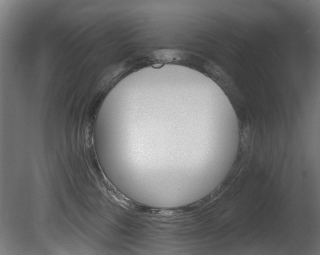 X0000081420330200701120951