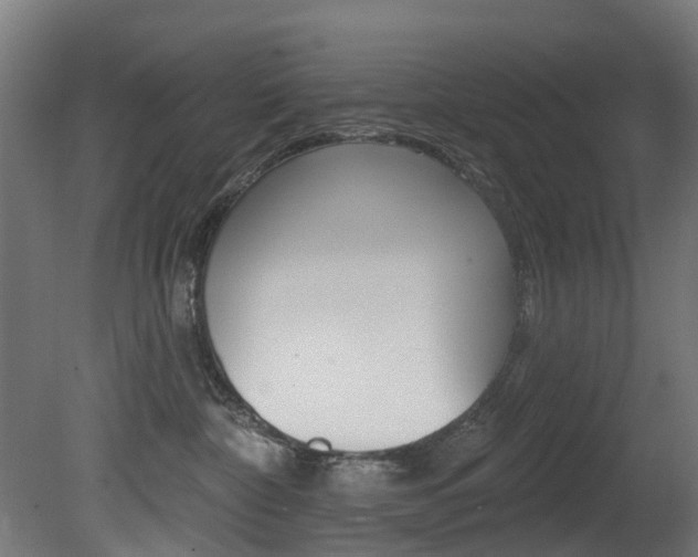 X0000081420332200701120951
