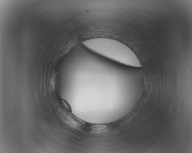 X0000081420334200701120951