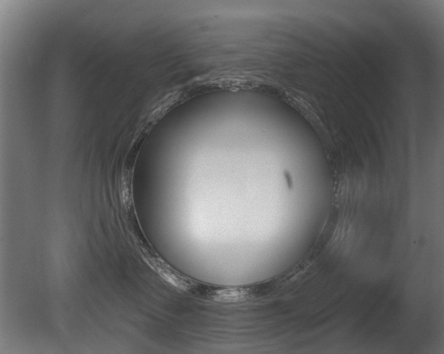 X0000081420335200701120951