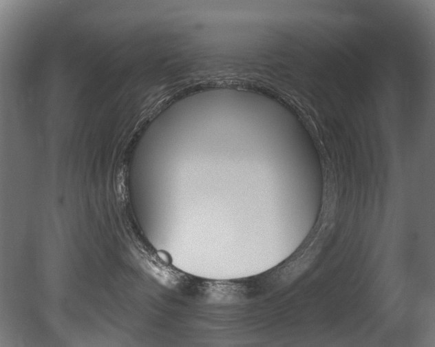 X0000081420336200701120951