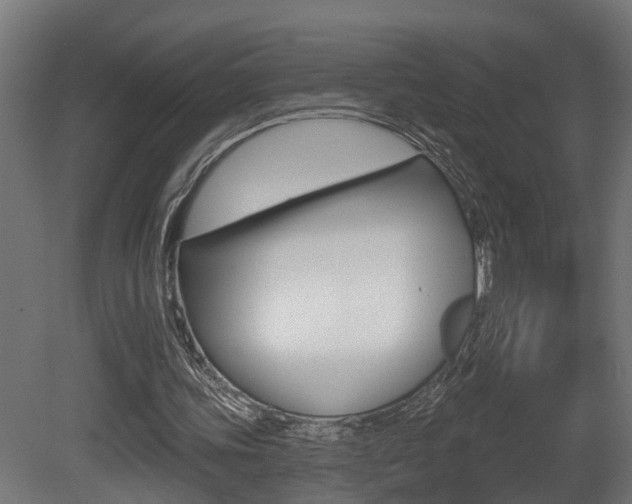 X0000081420339200701120950