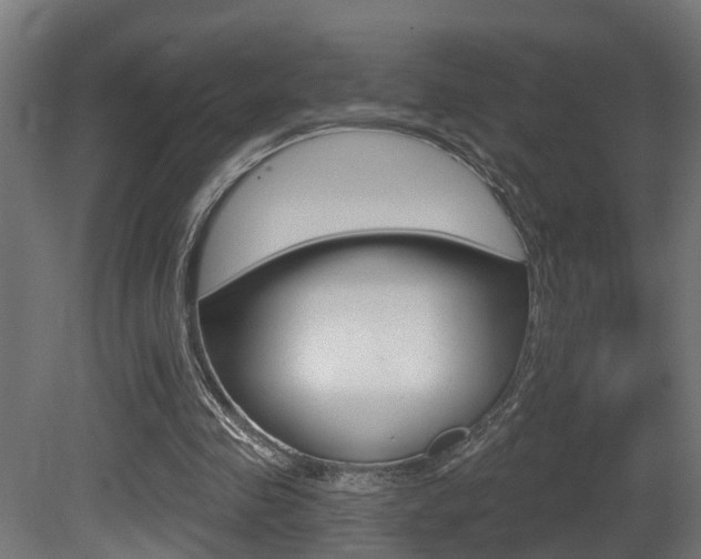 X0000081420341200701120950