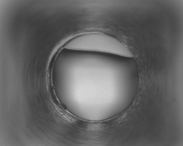 X0000081420342200701120950