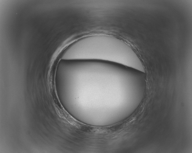 X0000081420343200701120950