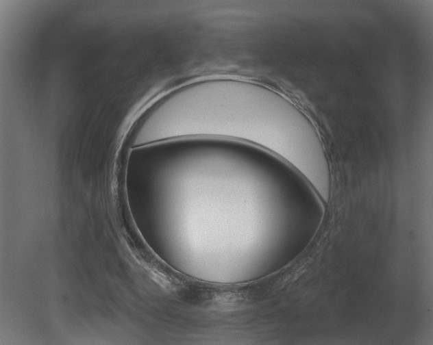 X0000081420344200701120950