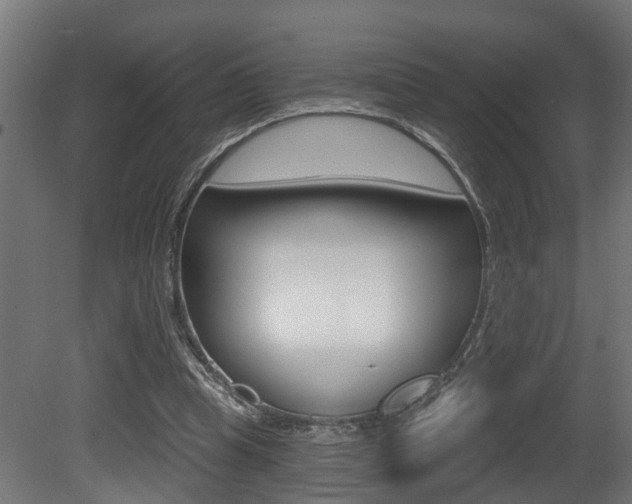 X0000081420345200701120950
