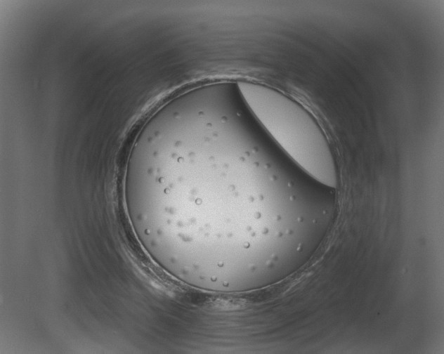 X0000081420346200701120950