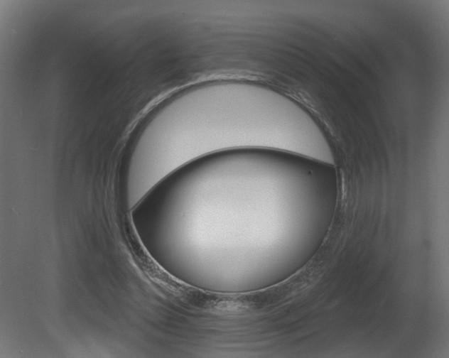 X0000081420348200701120950