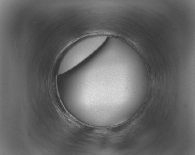 X0000081420351200701120950