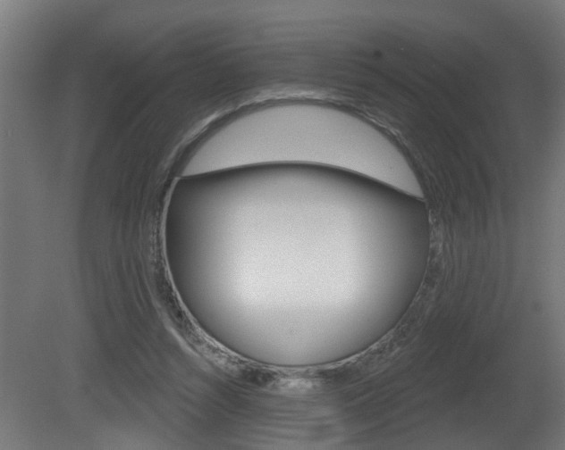 X0000081420352200701120950