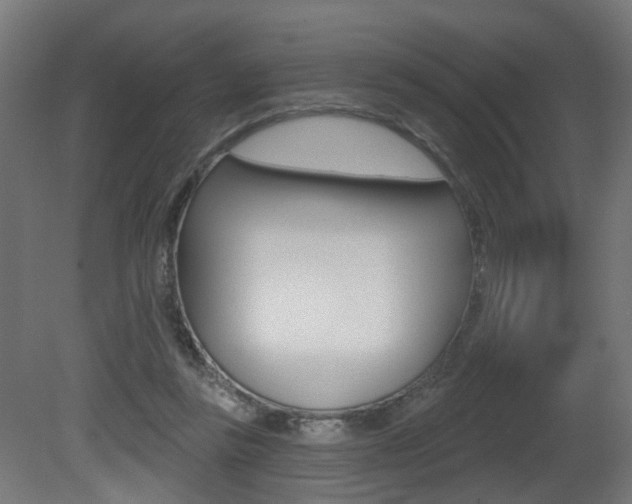 X0000081420355200701120950