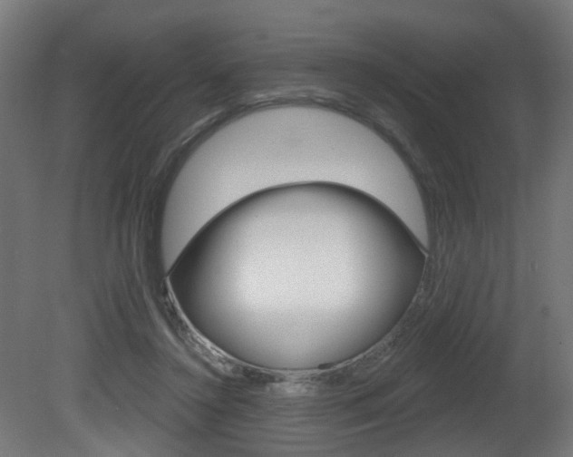 X0000081420356200701120950