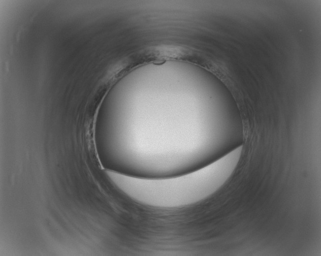 X0000081420360200701120950