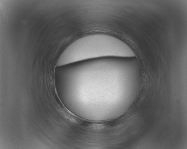 X0000081420361200701120950