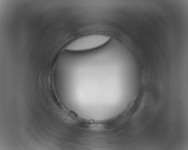 X0000081420363200701120951