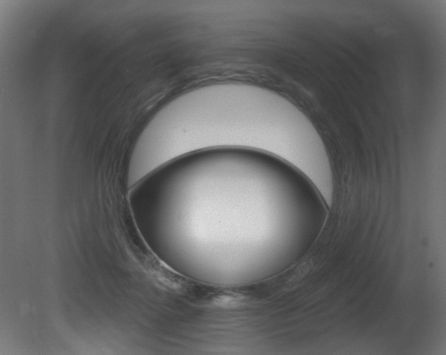 X0000081420364200701120951