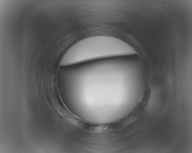 X0000081420366200701120951