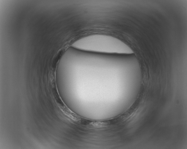 X0000081420367200701120951