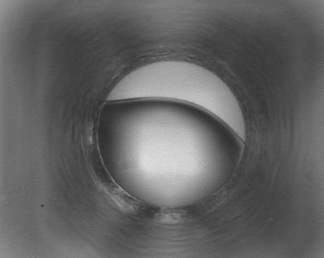 X0000081420368200701120951