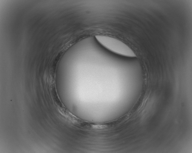 X0000081420371200701120951