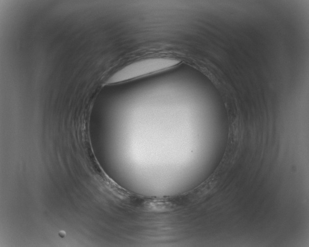 X0000081420372200701120951