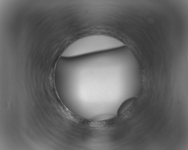 X0000081420373200701120951