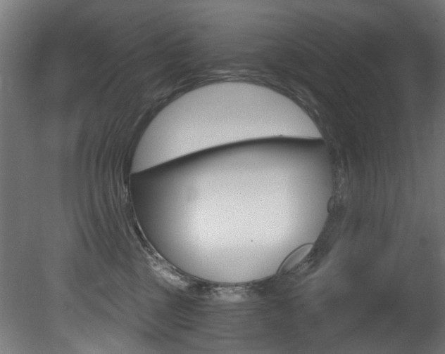X0000081420377200701120951