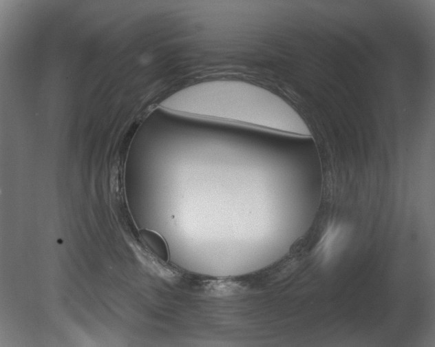 X0000081420379200701120951