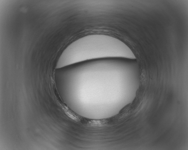 X0000081420381200701120951