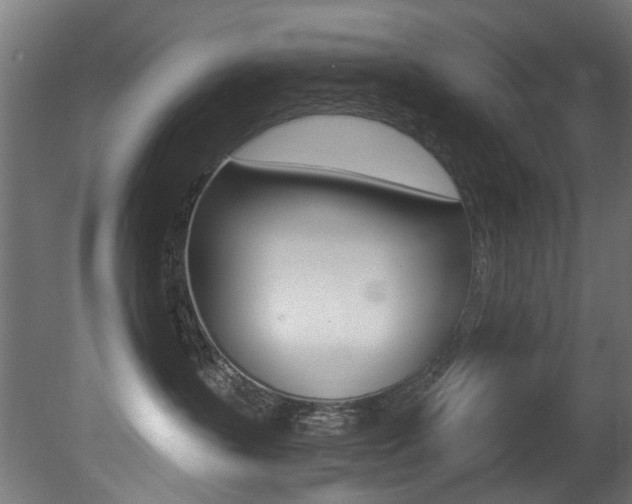X0000081420383200701120951