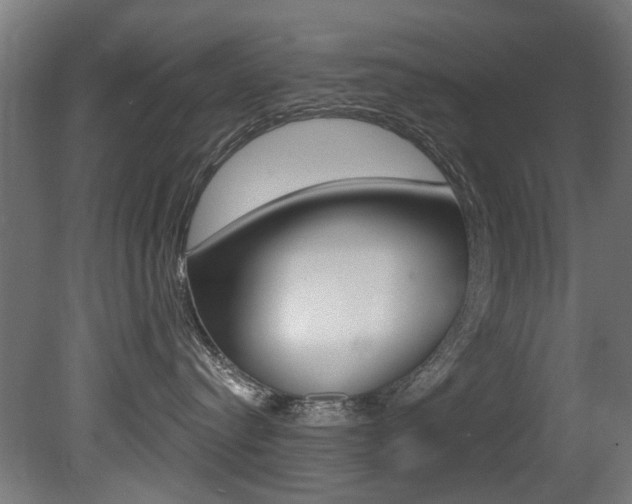 X0000081420384200701120951