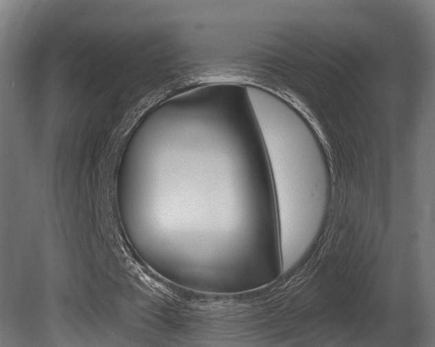 X0000081420385200701120950