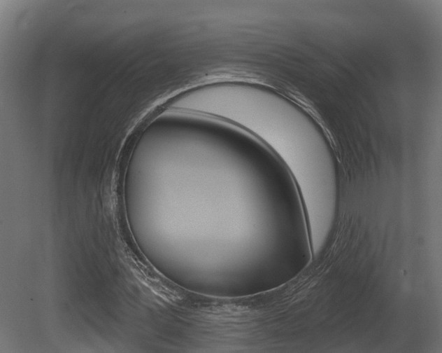 X0000081420387200701120950