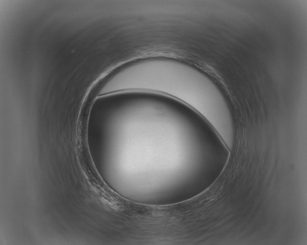 X0000081420388200701120950