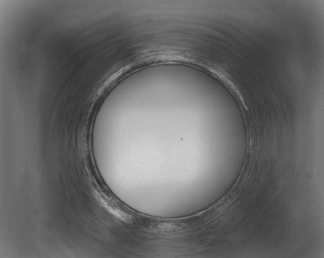 X0000081420390200701120950