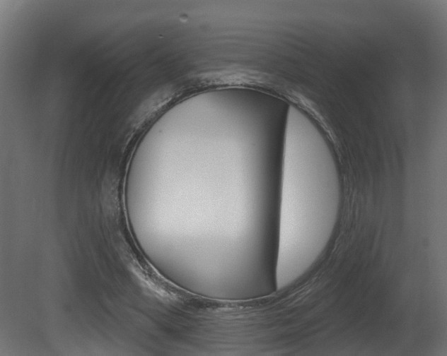 X0000081420394200701120950