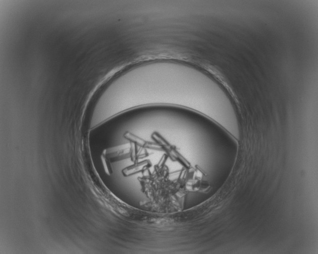X0000081420395200701120950