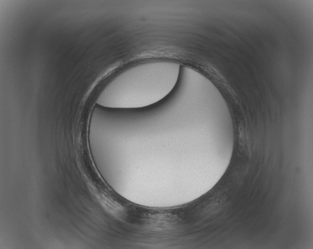 X0000081420396200701120950