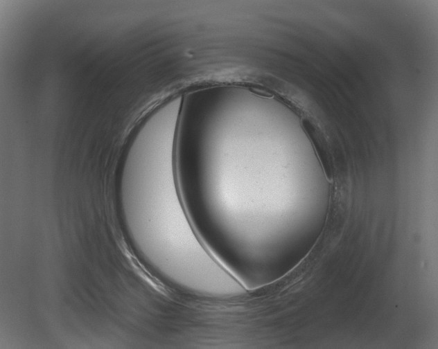 X0000081420397200701120950