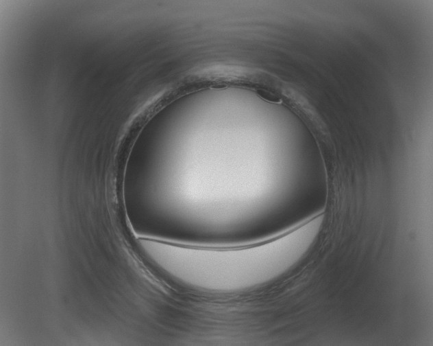 X0000081420399200701120950