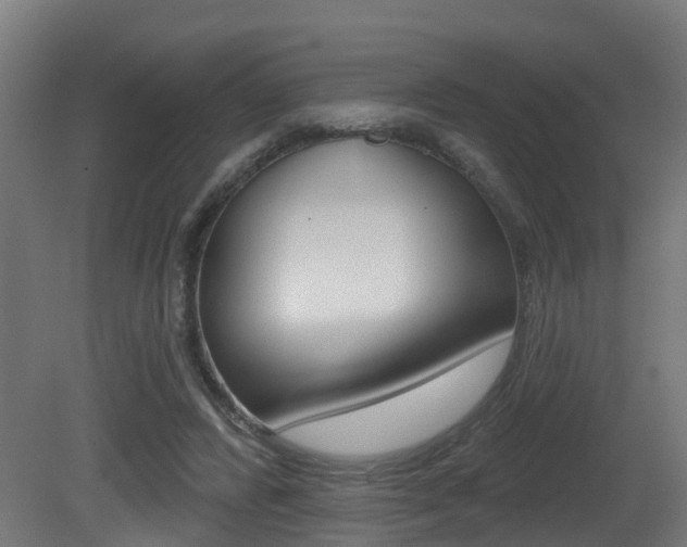 X0000081420400200701120950
