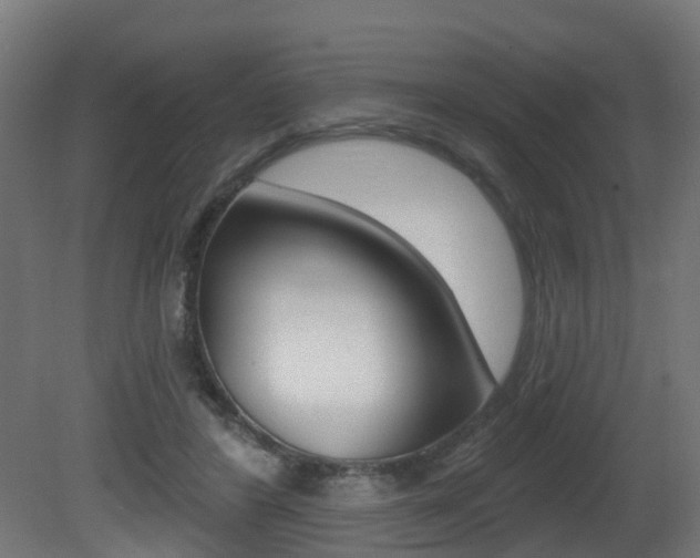 X0000081420404200701120950