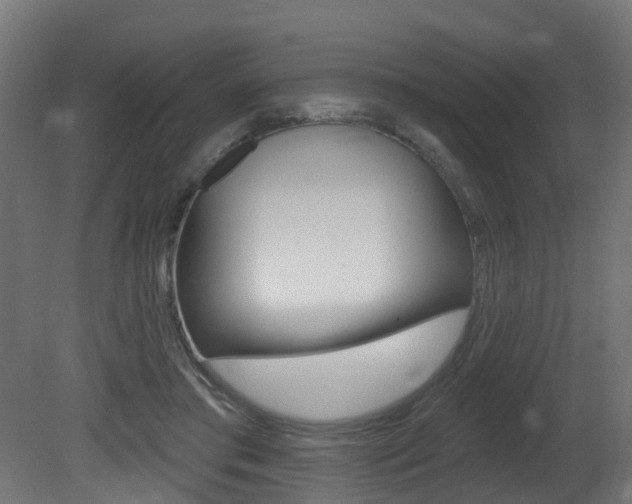 X0000081420405200701120950
