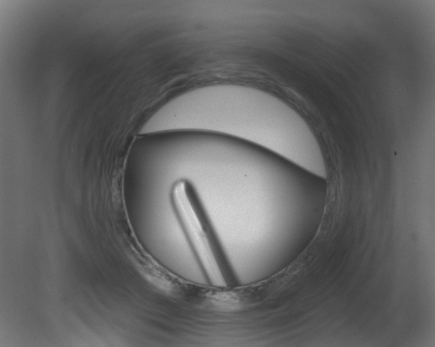 X0000081420409200701120950