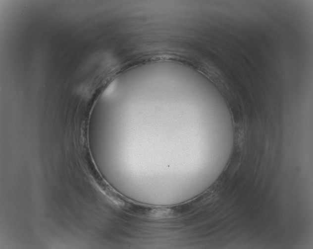 X0000081420410200701120950